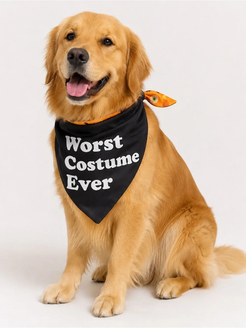 Reversible Glow in the Dark Pet Bandana Halloween NWT